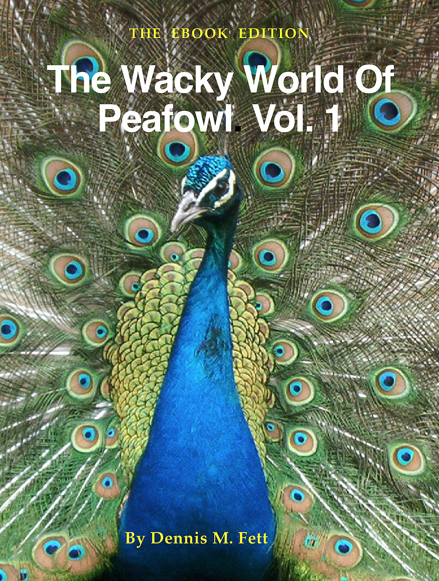 WWWP1cover